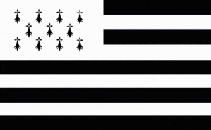 Résultat de recherche d'images pour "drapeau breton"